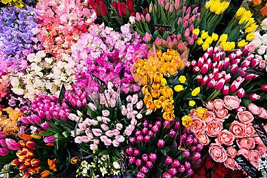 PS+欧美服9月会免游戏阵容：《小小梦魇2》等