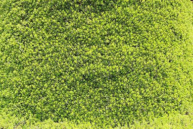 《骇客时空：最后的记录》今日上线 官方公布发售宣传片